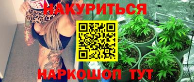 прущие грибы Дмитров