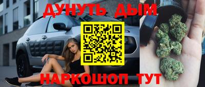 прущие грибы Дмитров