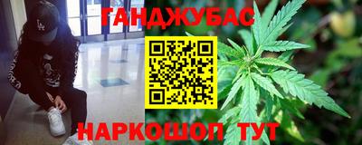 прущие грибы Дмитров