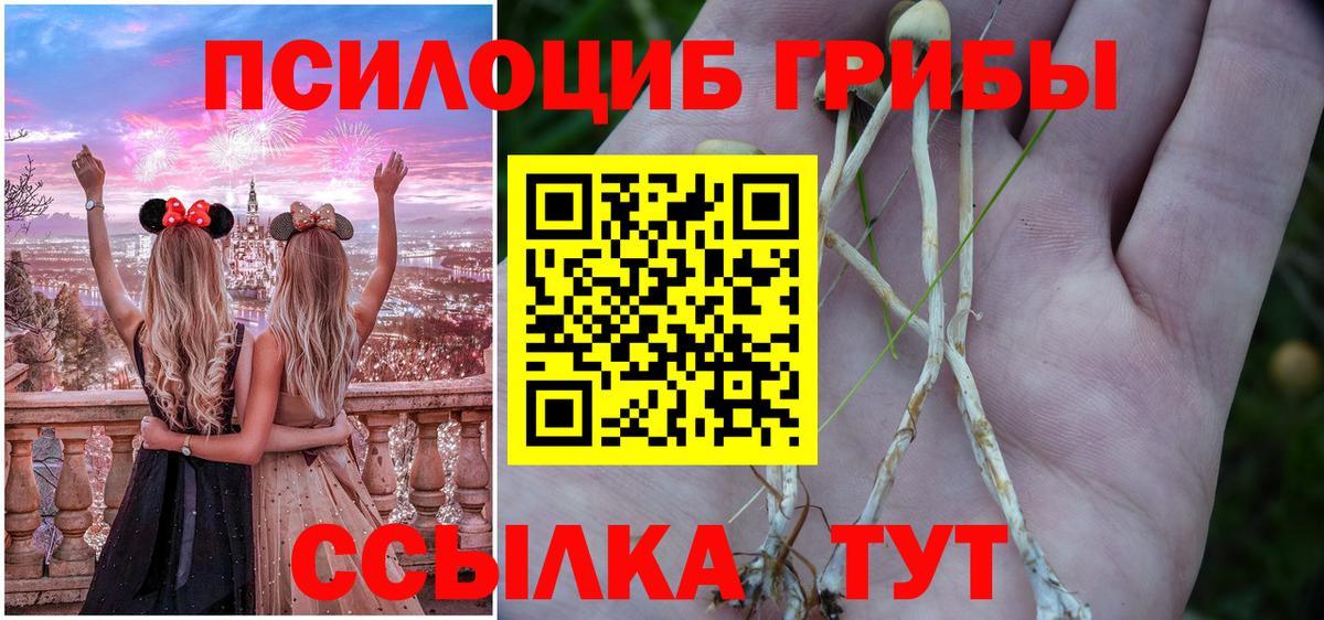 Благодарный  Псилоцибиновые грибы Psilocybe  Вход с VPN 